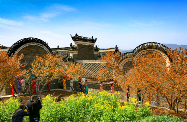 图片4