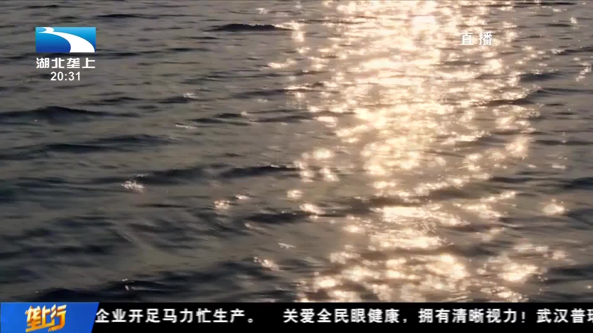【建设先行区 奋进新征程 】《“大国农匠”赵美丽的美丽梦想》