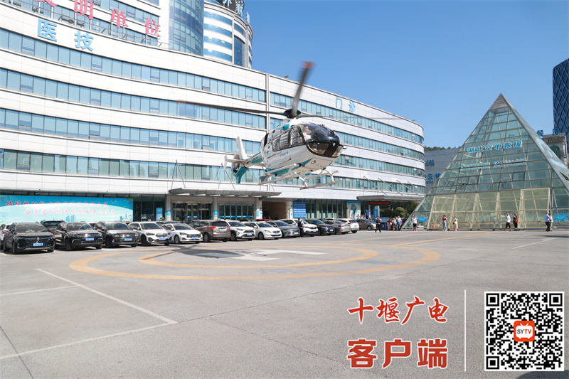 QQ图片20240813120449