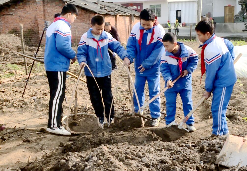 QQ截图20231212151838.jpg