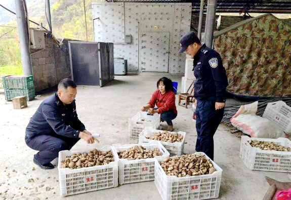 QQ截图20231212163634.jpg