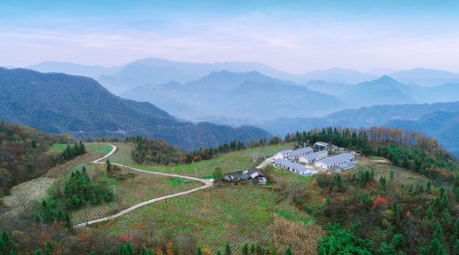 微信截图_20240514161305.png