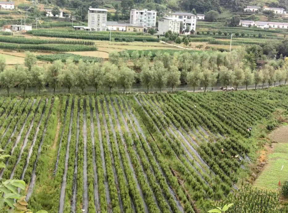 微信截图_20240704153453.png