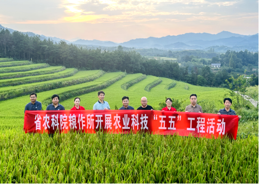 图片2.png