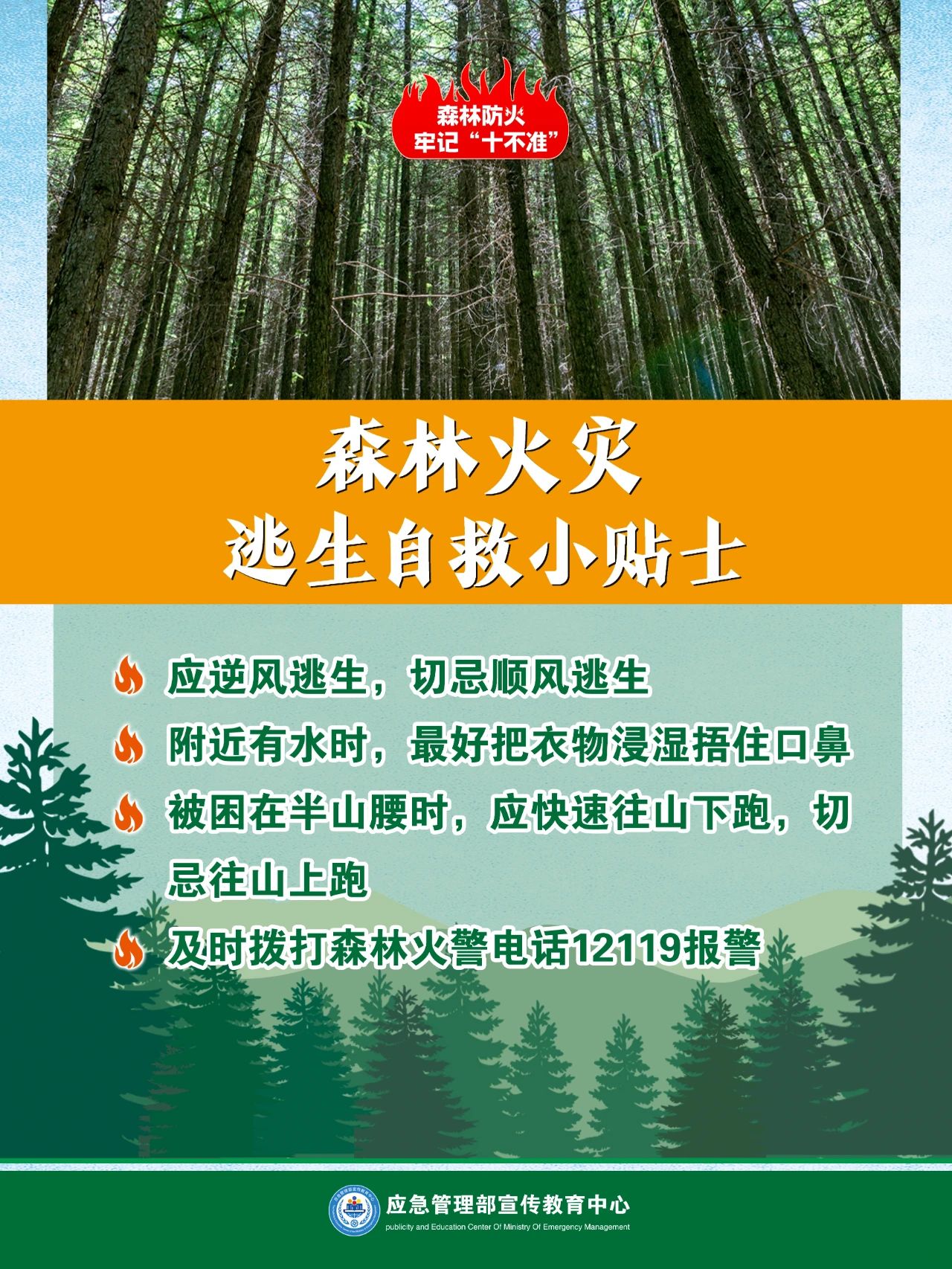 f06abc28e698ed831189c6bca1127789.jpg