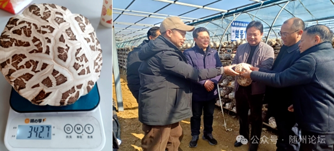 微信截图_20250302190847.png