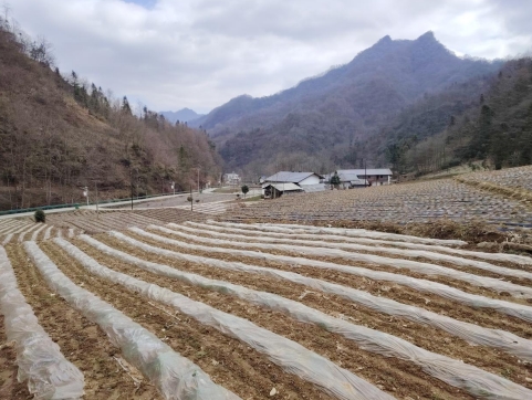 微信截图_20250312094631.png