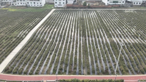 微信截图_20250312094651.png