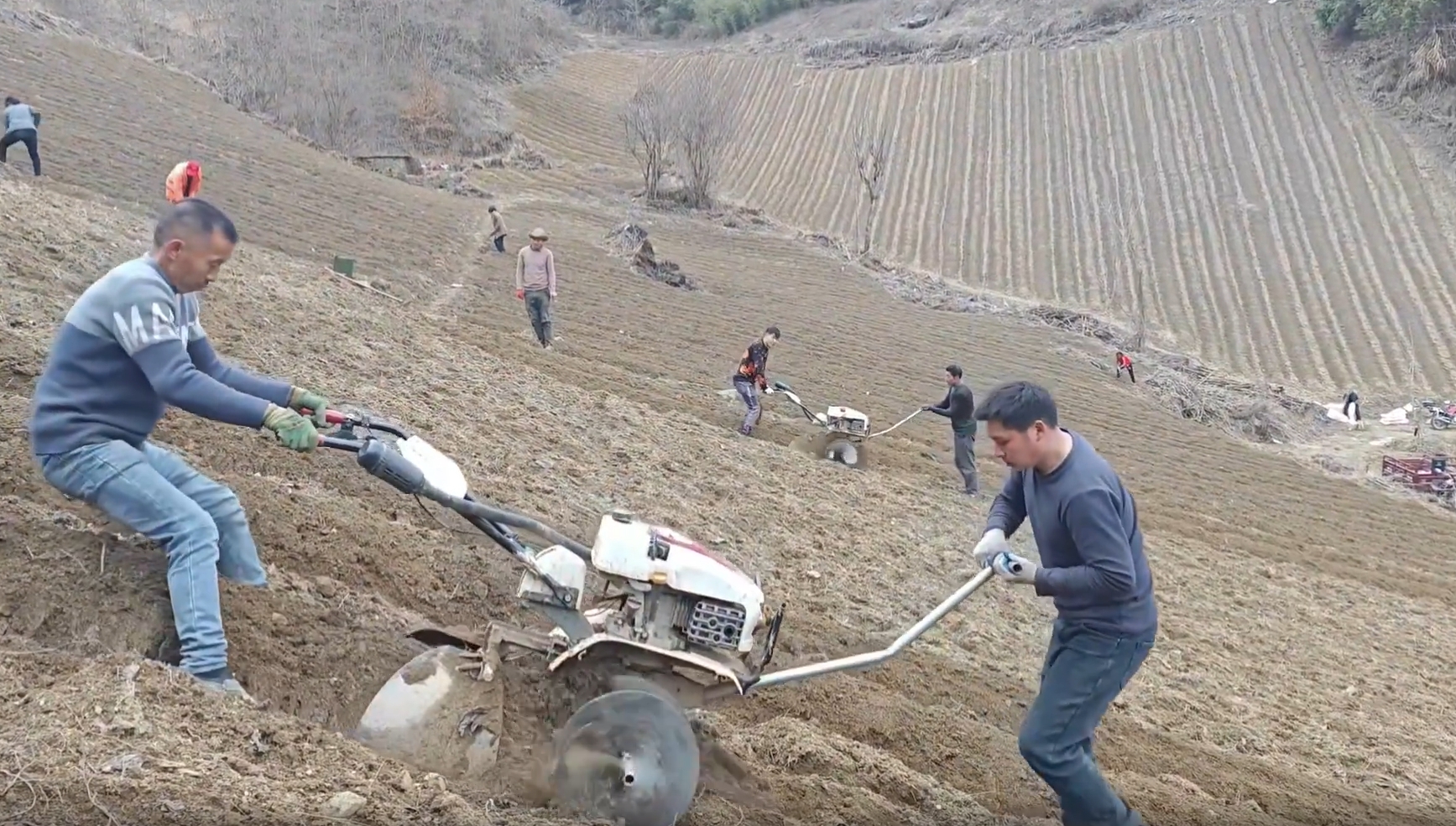 微信截图_20250322111738.png