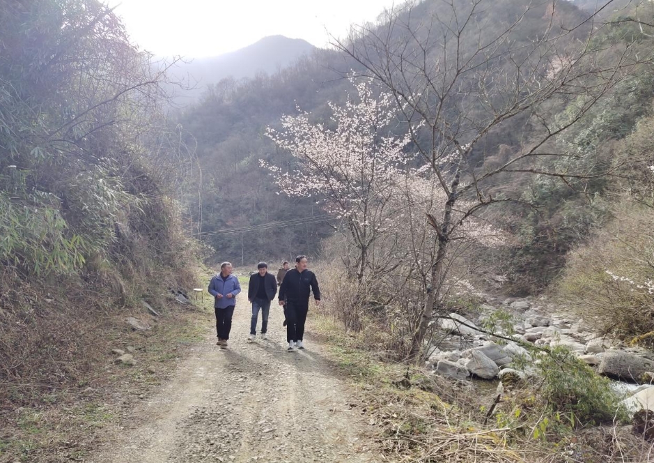 微信截图_20250401165547.png