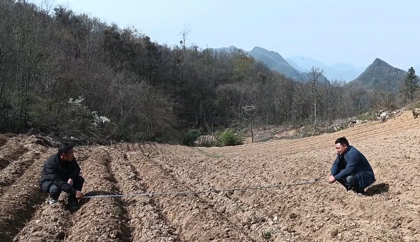 微信截图_20250404110320.png