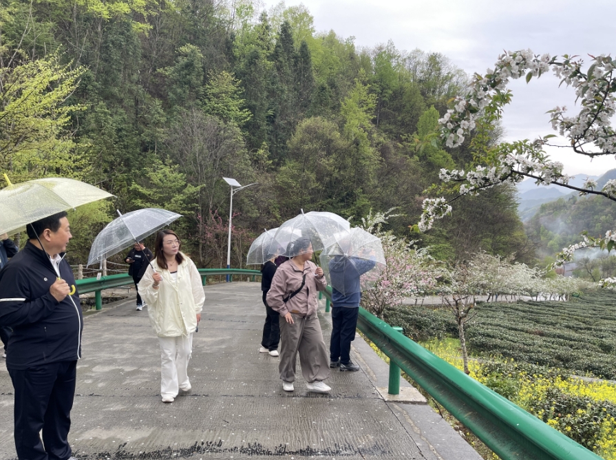 微信截图_20250415150549.png