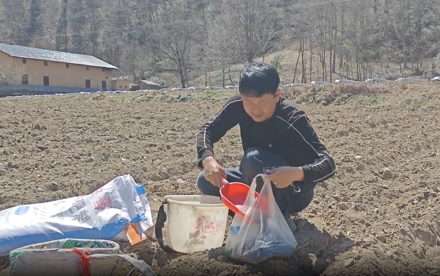 微信截图_20250427161126.png