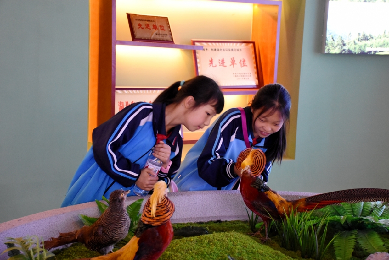 微信截图_20250515175218.png