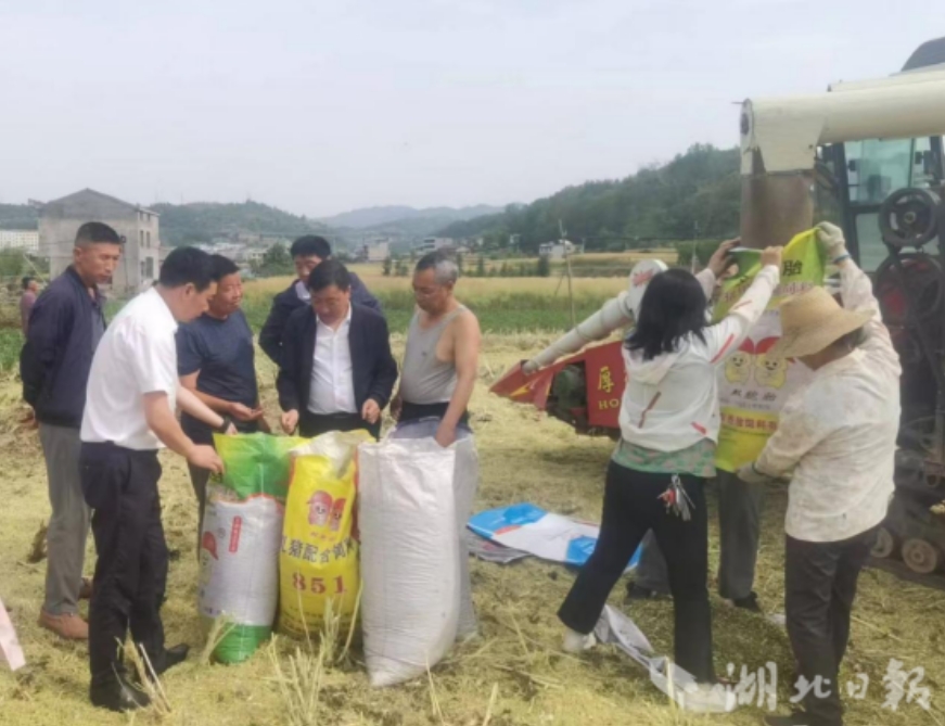 微信截图_20250516103646.png