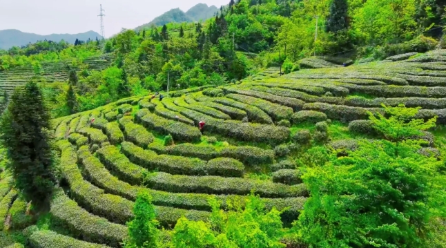 微信截图_20250516105520.png