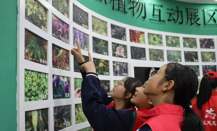 QQ20250530-161911.jpg