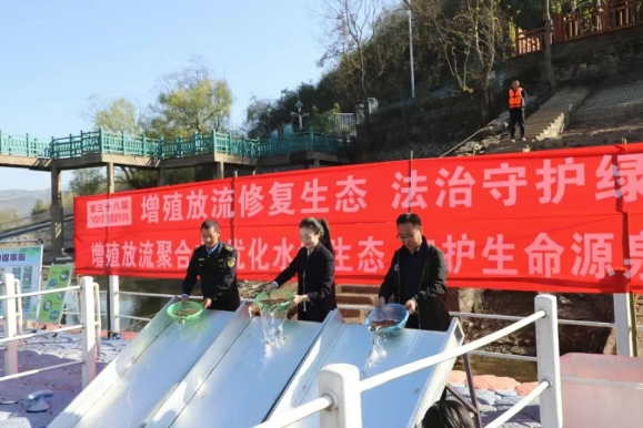 微信截图_20250604152400.png