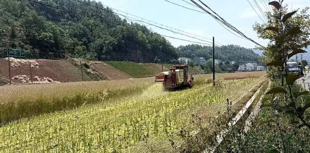 微信截图_20250605152751.png