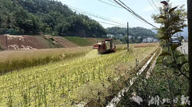 微信截图_20250609163427.png