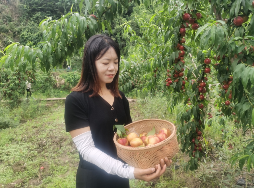 微信截图_20250617170927.png