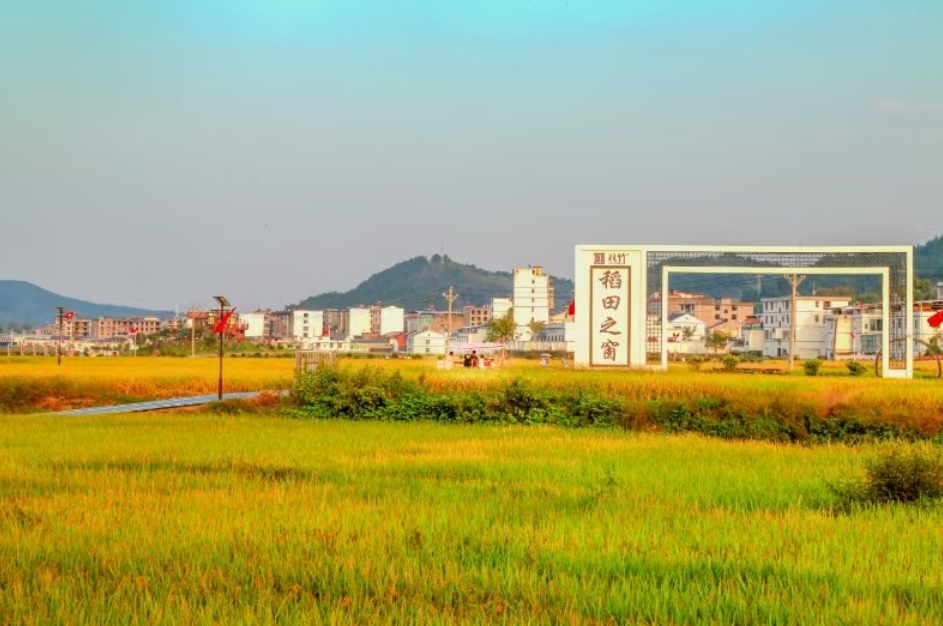 微信截图_20250625155047.png