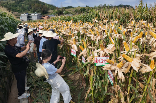 wechat_2025-08-29_154228_362.png